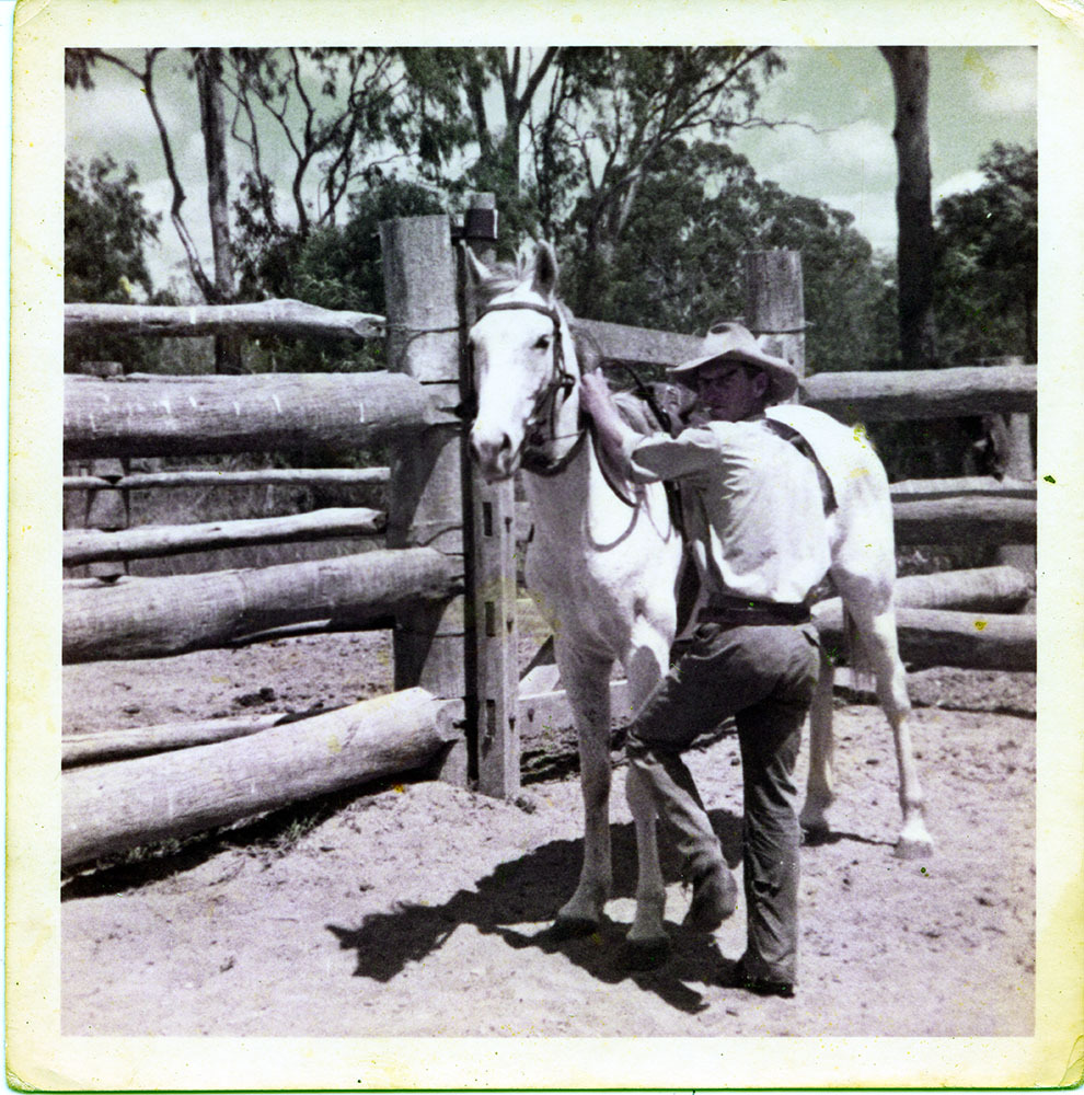 Worker and horse, Dotswood Station, ca. 1965