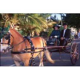 Horse and carriage prepared for a VP50 event / Townsville City Council staff