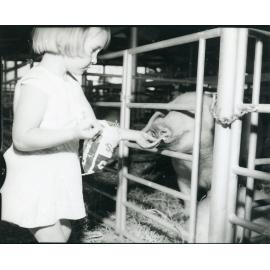 Veronica Collins of Cardington Station, Reid River at the Townsville Show, 4 July 1972