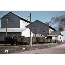 Freeman collection : Harvested sugarcane at a sugar mill near Ayr, North Queensland, 1961