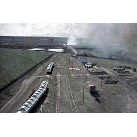 Freeman collection : Sugarcane crop and rail facilities near Ayr, North Queensland, 1961