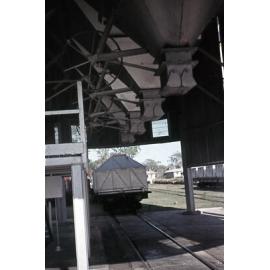Freeman collection : Cane train at Ayr sugar mill, North Queensland, 1961