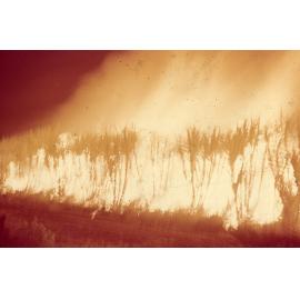 Freeman collection : Sugarcane fire near Ayr, North Queensland, 1961
