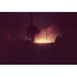 Freeman collection : Sugarcane fire near Ayr, North Queensland, 1961