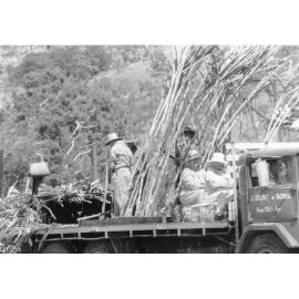 A scene from the Cavalcade of Progress procession at the Townsville Sports Reserve for the Royal Visit, 20 April 1970