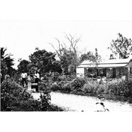 Gulliver's Acacia Vale nursery and gardens, Mundingburra, Townsville. 