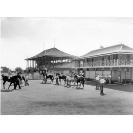Cluden racecourse, Townsville, ca.1962