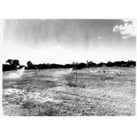 Sprinkler system, Anderson Park, Townsville, 1970. 