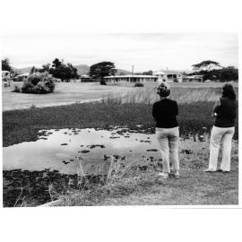Ornamental ponds, Anderson Park, Townsville, 1971