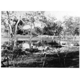 Town Common, Townsville, ca.1890. 