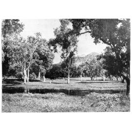 View of the Town Common, near the new cemetery, Townsville, 1951