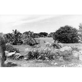 Anderson Park, Townsville, 1977. 