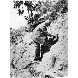A geologist examines a rock formation, Hervey's Range Road, Townsville, 1952