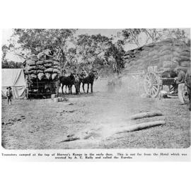Teamsters camped at the top of Hervey's Range, Townsville, in the early days. 