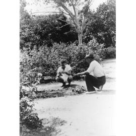 [Queens Gardens, Townsville, 1940] 