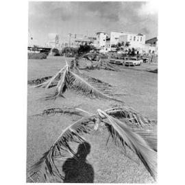 Vandalism, Hanran Park, Townsville, May 1973