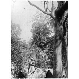 Rifle shooter, Bohle River, Townsville, 1890's 