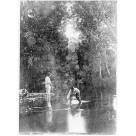 Bohle River, Townsville, 1890s