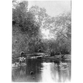 Man fishing in the Bohle River, Townsville, 1890's 
