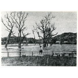 The lagoon which washed Kennedy Street into the sea, Townsville, 1892