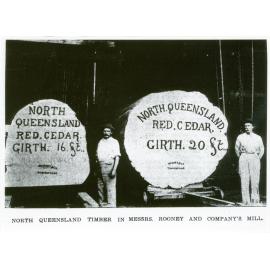 Red cedar logs in Rooney and Co.'s sawmill, Ross River, Townsville, 1903