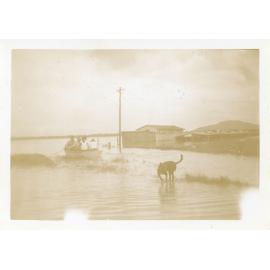 Flooding, Townsville, 1946
