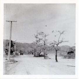Cyclone Althea damage to Horseshoe Bay, Magnetic Island, Townsville, 1971