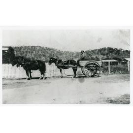 Council road works, Belgian Gardens, circa 1933