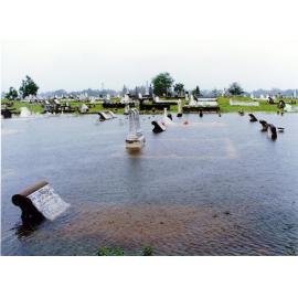 Belgian Gardens cemetery, Townsville, during the flooding of January 1998. 