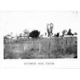 Dotswood head station, 1902
