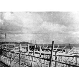 Floor and foundation of the new Townsville City Baths, 1941. Later named Tobruk Pool