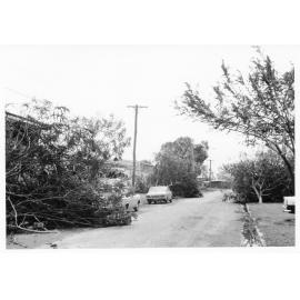 Healy Street, Mundingburra, after Cyclone Althea 
