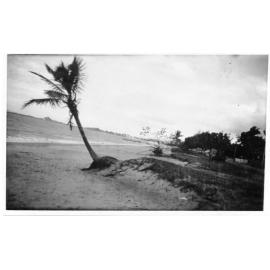The Strand beach looking towards the harbour, Townsville, February 1940. 