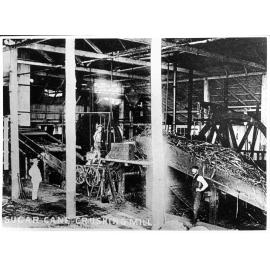Sugar cane crushing mill, ca.1895