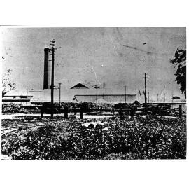 Mulgrave sugar mill, 1924