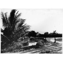 Pioneer Sugar Plantation, the Burdekin Delta, 1907