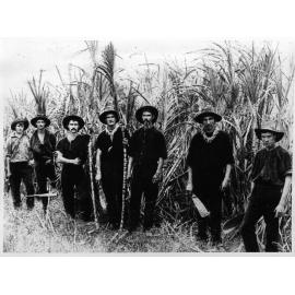 Olsen's gang of canecutters in the field, Kalamia plantation, Burdekin Delta, 1907