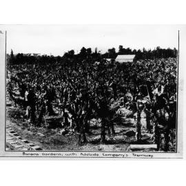 Liverpool Creek Sugar Development, an Adelaide Steamship Company Development, Banana garden with tramway, 1911