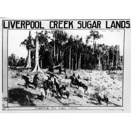 Liverpool Creek Sugar Development, an Adelaide Steamship Company Development, inspecting the sugar lands, 1911