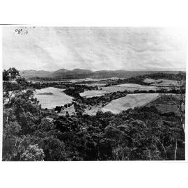 Cane fields in the South Johnstone district, 1938