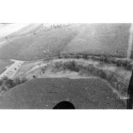 Canefields near Giru, aerial photograph, February 1976