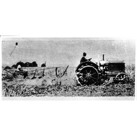 Preparing land for planting sugarcane, 1924