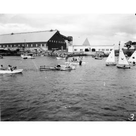 Magnetic Island to Townsville swim. Competitor Rod McLeod, the eventual winner of the 1966 swim 