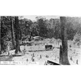 Mrs T Shay's guest house, Crystalbrook, Mount Spec, 1941 