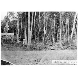 McKimmin's corner, Mount Spec, 1945 