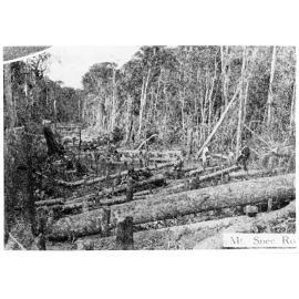 Mount Spec Road, 1945 