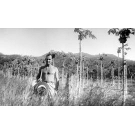Papaw Plantation Magnetic Island