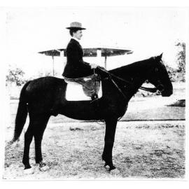 S. H. Thorpe's "Normanby", champion hack, best 14 stone hack and best ladies hack, ridden by Miss Pritchard, Charters Towers show, 1906