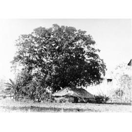 Unidentified house, Townsville, 1890's. 