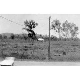 Ash Street, Kirwan, ca.1961 
